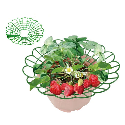 Green Strawberry Planting Stand Plastic Plant Support Cage Garden Anti-rot Strawberry Growing Racks Holder with 3/4Sturdy Legs