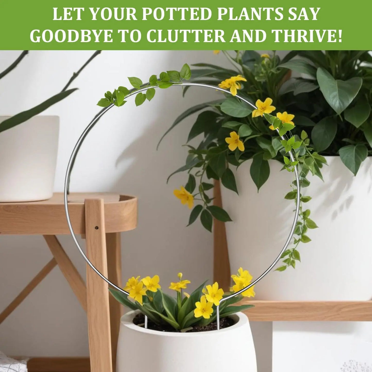 Round transparent acrylic plant stand, suitable for indoor and outdoor use, suitable for small climbing plants, etc.
