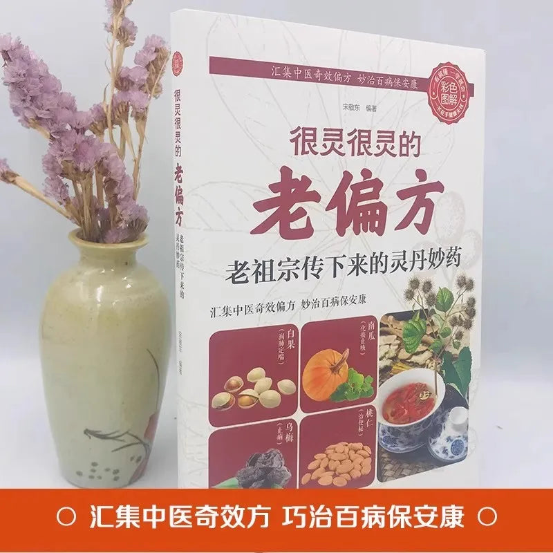 Traditional Chinese Medicine Health Preservation Books - Ancient Folk Prescriptions Time-Tested Natural Healing Wisdom