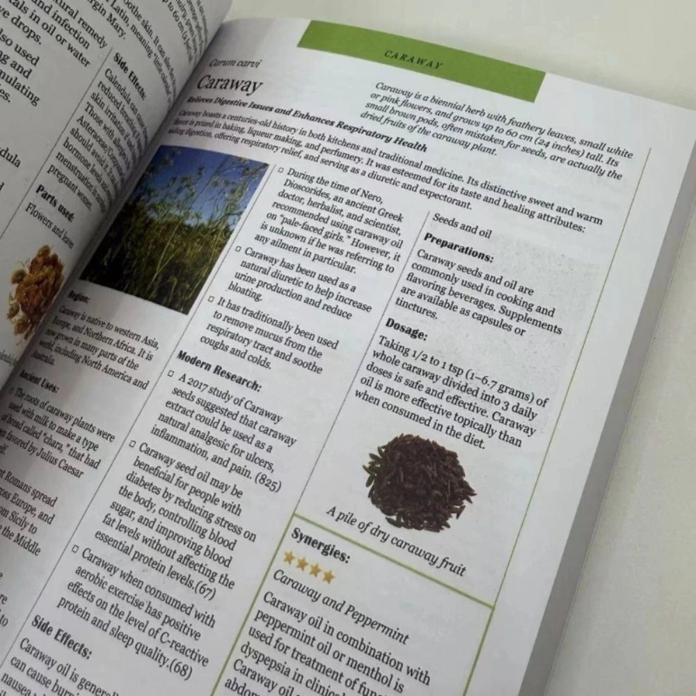 Ancient Remedies Revived Book English Herbal Lovers Paperback Natural Plant Medicine Self Healing Health Guide Free Shipping