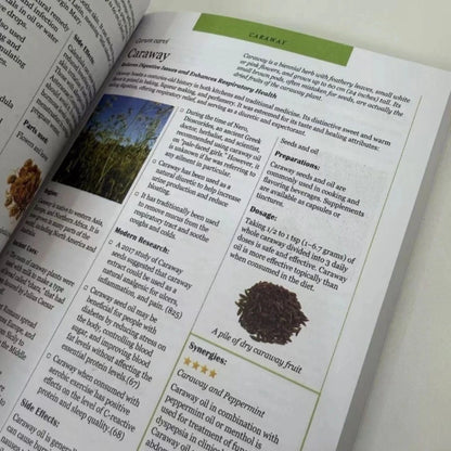 Ancient Remedies Revived Book English Herbal Lovers Paperback Natural Plant Medicine Self Healing Health Guide Free Shipping