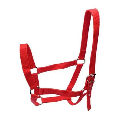 Strong PP Webbing Horse Halter Adjustable Padded Training Rope Harness Tack for Horse Riding and Groundwork