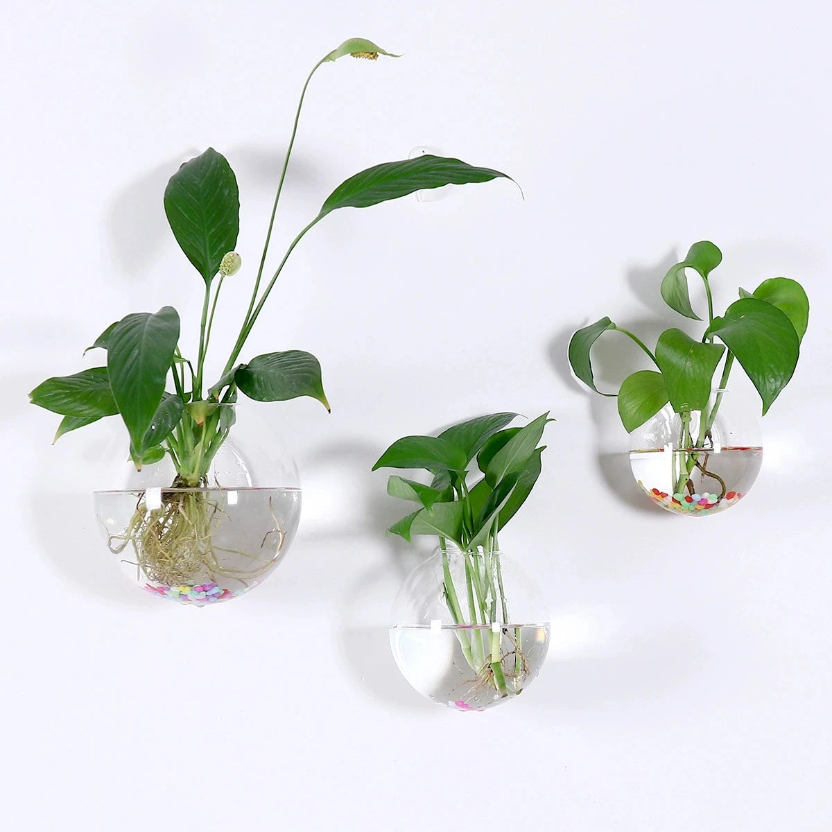 2/4/6/8 Pack Wall Hanging Glass Terrarium - Self-Watering Hydroponic Planter for Home Office Decor, Handmade Round Crystal Vase