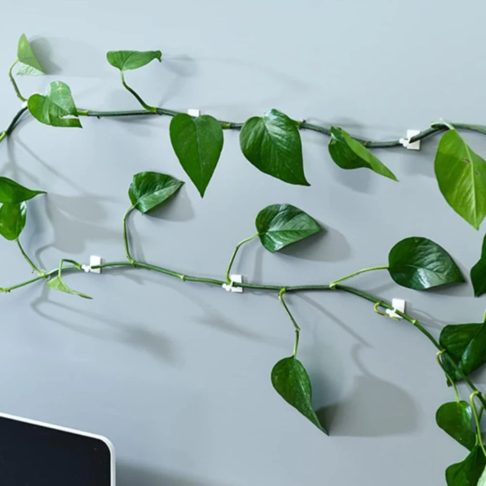 Invisible Plant Support Clips for Climbing Orchid Flower Ties Tomato Vine Plastic Garden Self-Adhesive Wall Fixture Binding Hook
