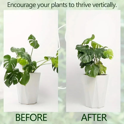 1Pc Large Monstera Plant Support Frame Sturdy Climbing Stems Leaf Stabilizer Outdoor Use for Tall Houseplant Hanging Plant Stand