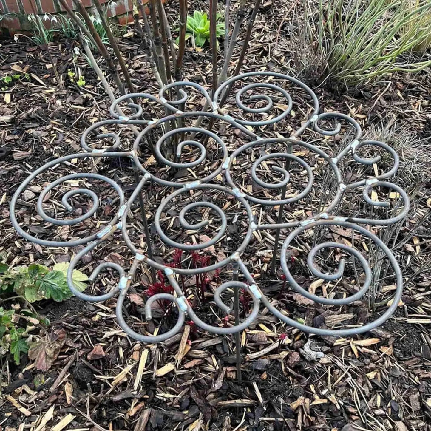 Peony Cage Heavy Duty Metal Weather-Resistant Grow Through Plant Support for Tall Heavy Flowers Peonies Roses Hydrangeas