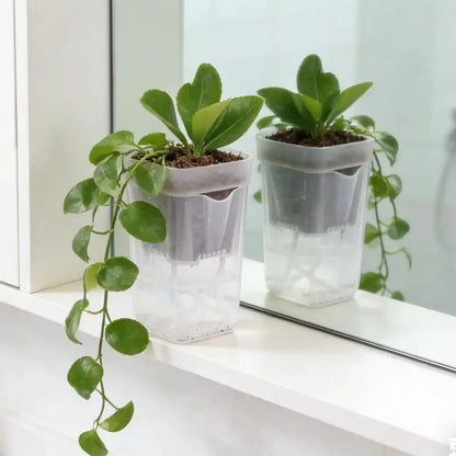 Transparent Flower Plant Pot Self Watering Planter Drainage Holes Seedling Propagation Container Household Garden Accessories