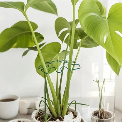 1Pc Large Monstera Plant Support Frame Sturdy Climbing Stems Leaf Stabilizer Outdoor Use for Tall Houseplant Hanging Plant Stand