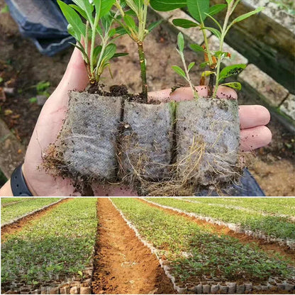 100-500Pcs Biodegradable Nursery Bag Plant Grow Bags Non-woven Fabric Seeds To Sow Flower Pots For Home Garden Accessories Tools