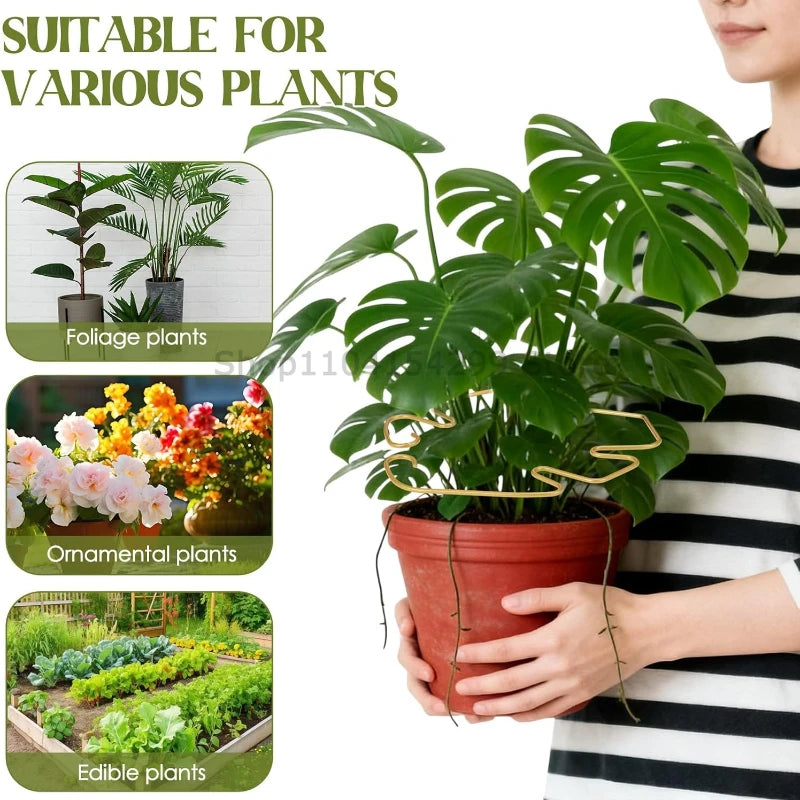 Large Monstera Plant Support Frame Sturdy Climbing Stems Leaf Stabilizer for Tall Houseplant Hanging Plant Stand Plants Holder