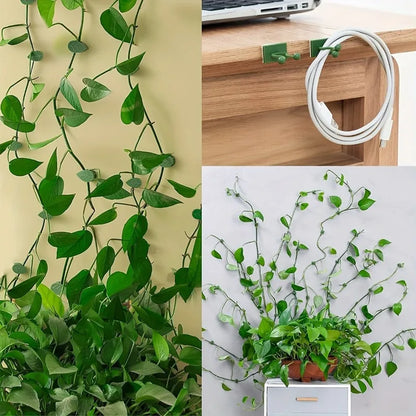 30pcs Invisible Plant Climbing Wall Hooks - Self-Adhesive, Reusable, Adjustable Vines Traction Holders for Indoor Outdoor Garden