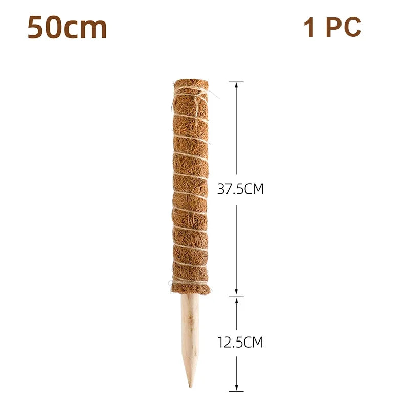 Cross-border Gardening Cocoanut Stick Green Pot Fixed Plant Climbing Cane Flower Support Cocoanut Climbing Cane Moss Rod 1pc