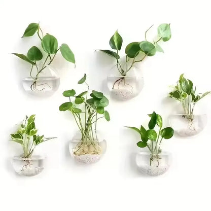 2/4/6/8 Pack Wall Hanging Glass Terrarium - Self-Watering Hydroponic Planter for Home Office Decor, Handmade Round Crystal Vase