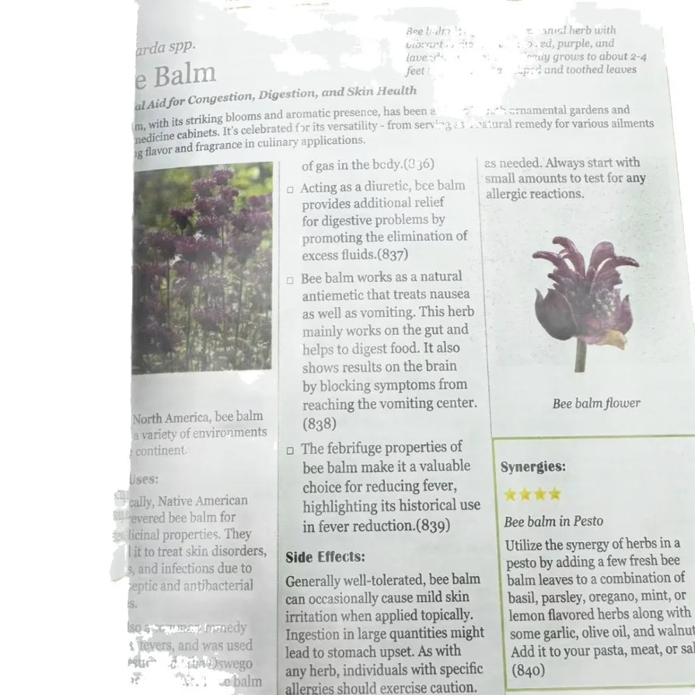 Ancient Remedies Revived: A Guide to Herbal Medicine & Natural Healing. English Paperback. Free Shipping.
