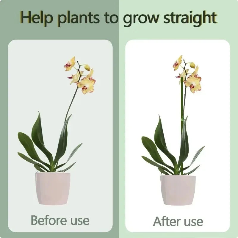 Plant Support Stakes with Orchid Clips Ties Bendable Single Stem Support Rods Holder Sticks for Potted Plants Flowers Vegetables