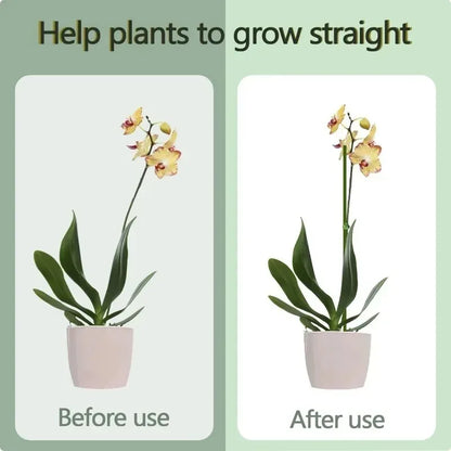 Plant Support Stakes with Orchid Clips Ties Bendable Single Stem Support Rods Holder Sticks for Potted Plants Flowers Vegetables