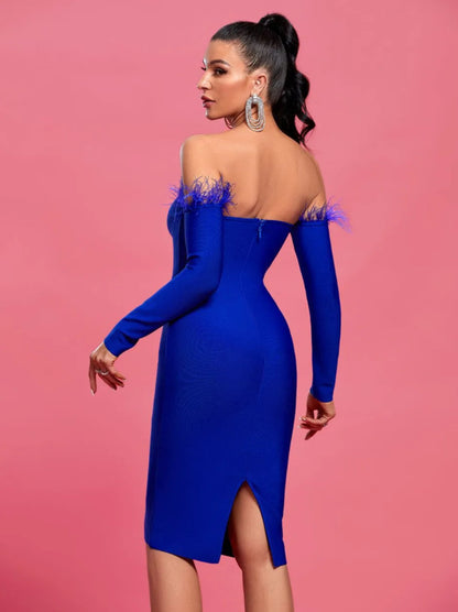 Long Sleeve Feather Women's Clothing Dress