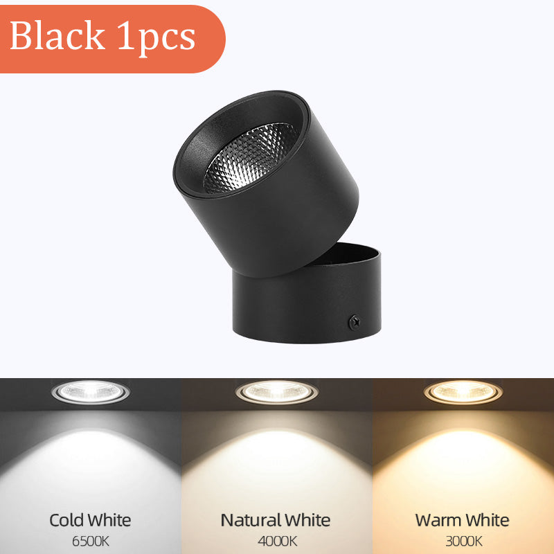 LED Downlight Spotlights Are Open Mounted And Foldable