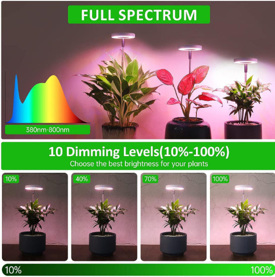 Timing Dimming Succulent Bonsai Plant Grow Light