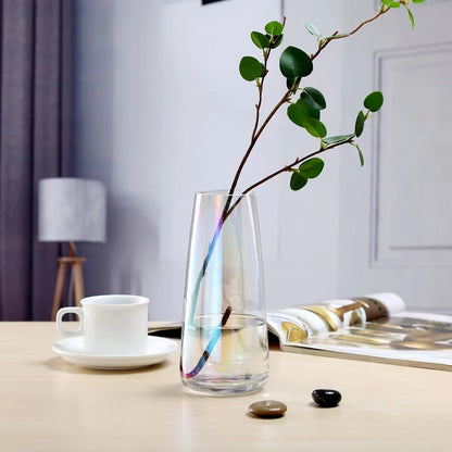 Simple Transparent Aurora Colorful Glass Vase