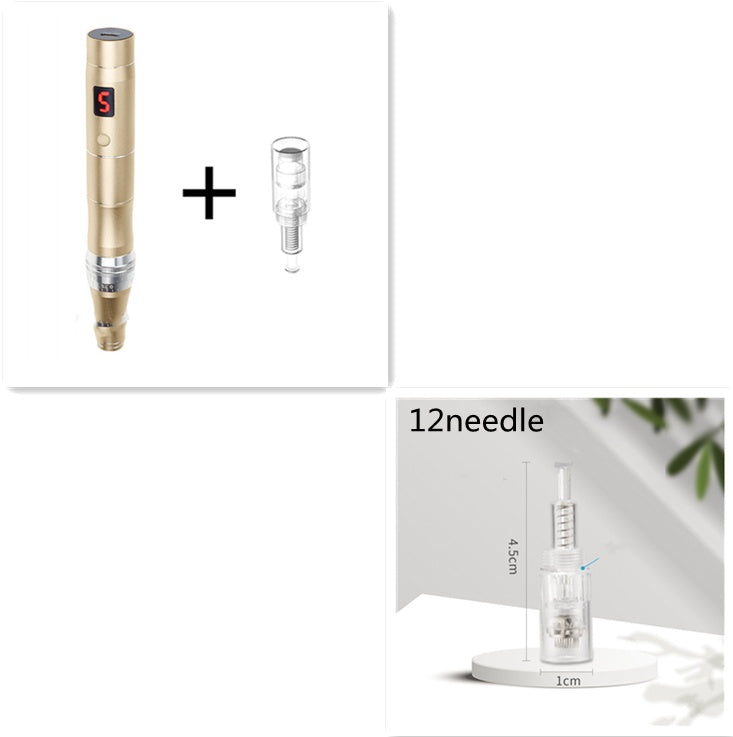 Rechargeable Imported Electric Micro-needle Instrument