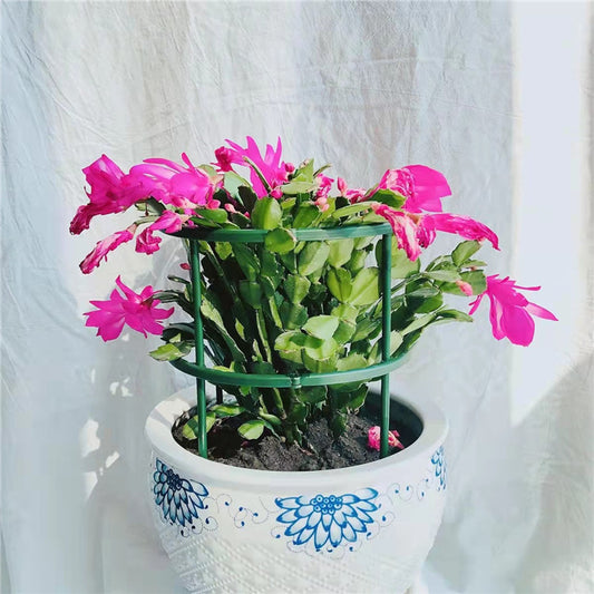 Climbing Vine Support Pile Garden Trellis