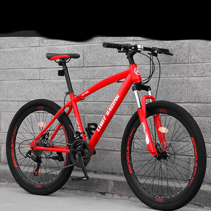 Speed-changing Cross-country Road Racing  Working Students