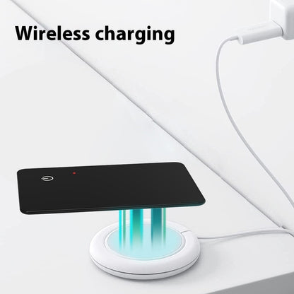 Pet Tracking Artifact Positioning