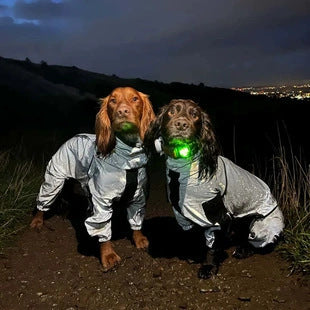 Waterproof Coat Dog Pet Reflective Rainproof Raincoat