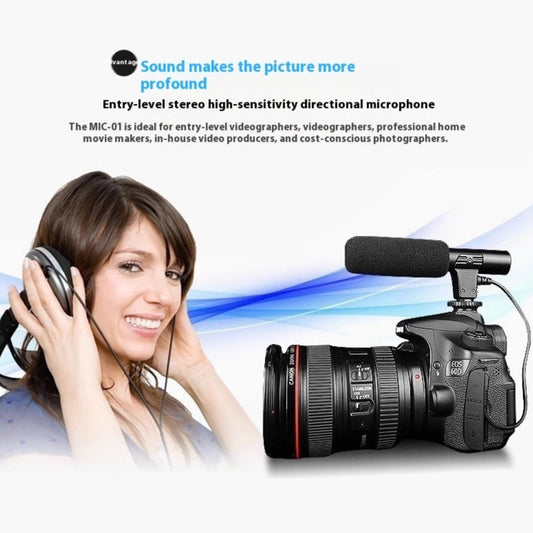 Stereo Microphone Camera Professional Interview Radio