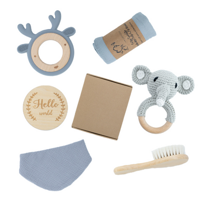 Baby Educational Toy Molar Teether Gift Box