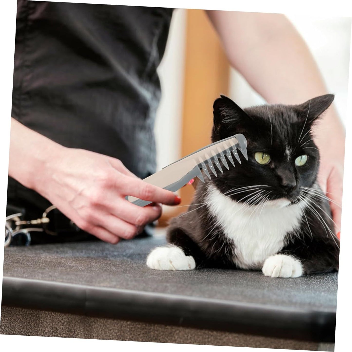 Pet Hair Trimmer For Precision Haircuts And Grooming  Electric Razor 4 AA Batteries Are Required For Use Without Batteries