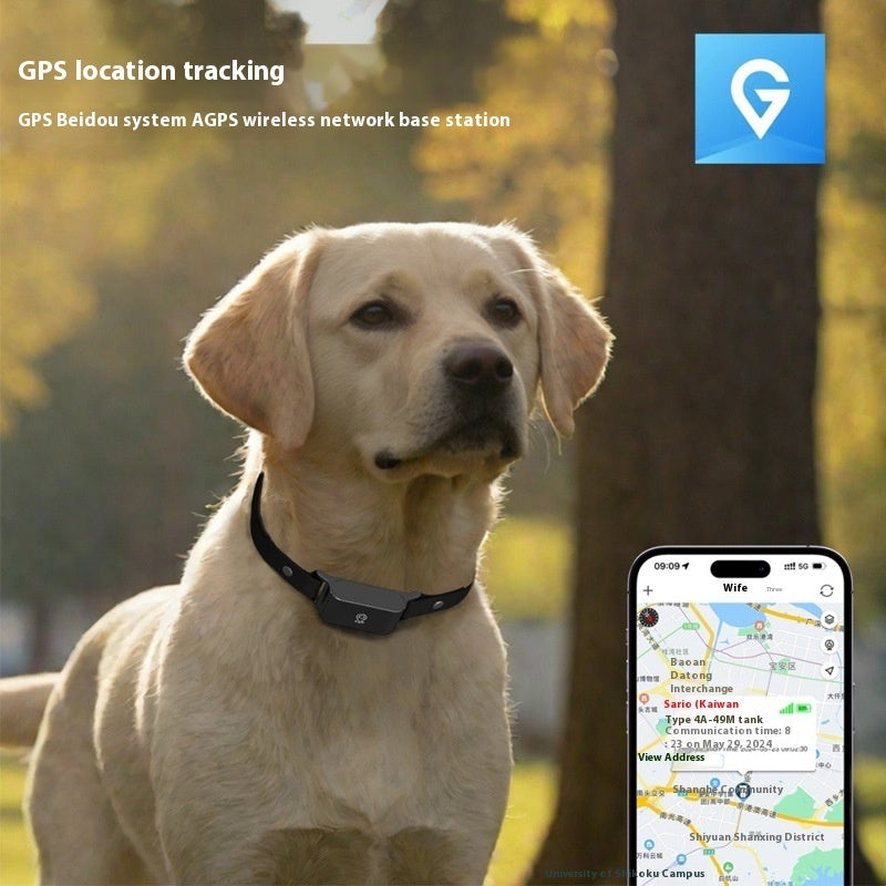 Pet Global Positioning Collar Track Tracking Locator