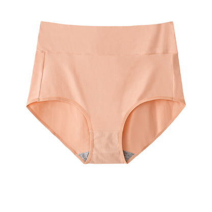 High Waist Briefs Plus Size Fat