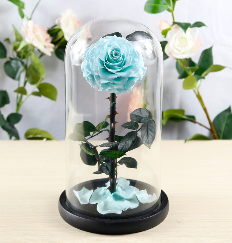 Preserved Flower Rose Finished Glass Cover Gift Box