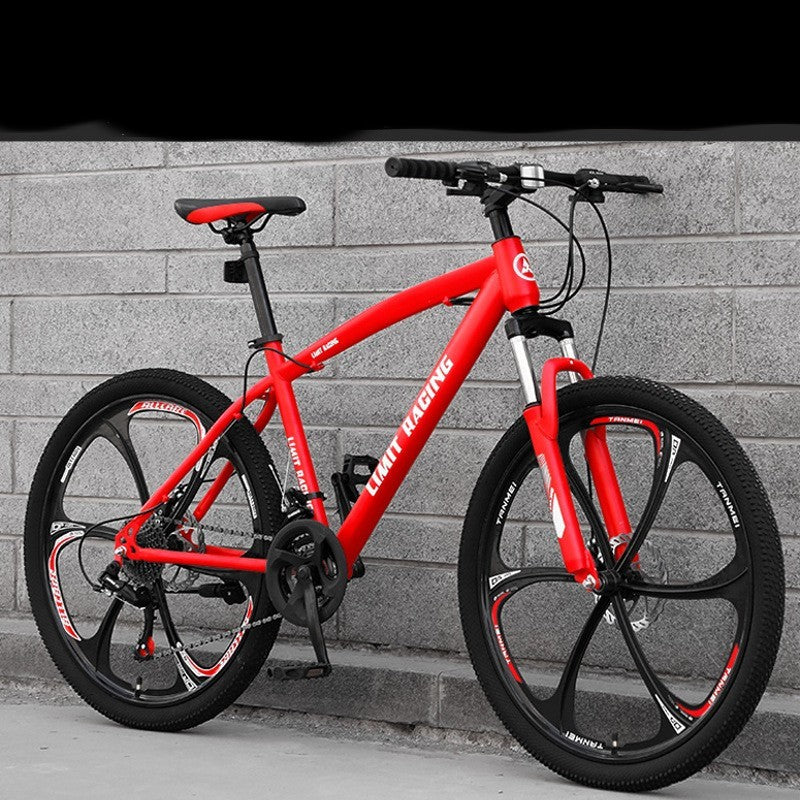 Speed-changing Cross-country Road Racing  Working Students