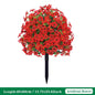 Eucalyptus Violet Floor Outlet Garden Green Plant