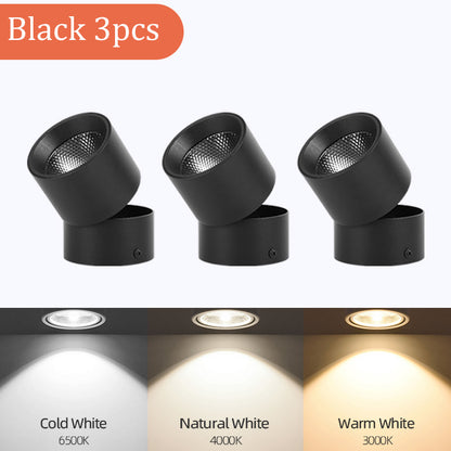 LED Downlight Spotlights Are Open Mounted And Foldable