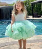 Baby Girl One Year Old Dress Birthday Princess Dress Piano Playing Tulle Tutu