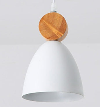 Fashionable Personalized Restaurant Pendant Lamp