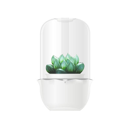 Cute Desktop Simple Creative Smart Plant Flower Pot