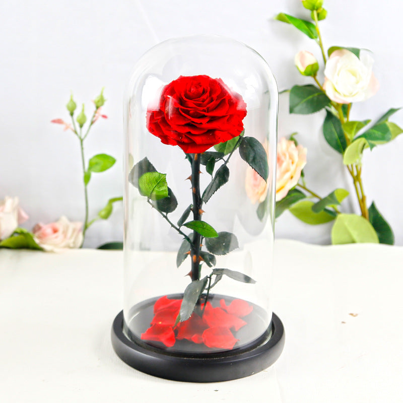 Preserved Flower Rose Finished Glass Cover Gift Box