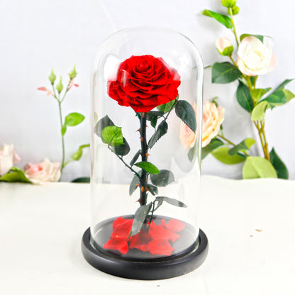 Preserved Flower Rose Finished Glass Cover Gift Box