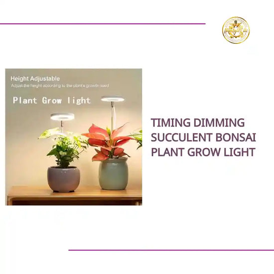 Timing Dimming Succulent Bonsai Plant Grow Light by@Outfy