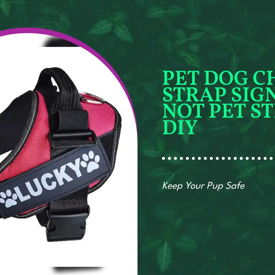 Pet Dog Chest Strap Sign DO NOT PET Sticker DIY by@Outfy